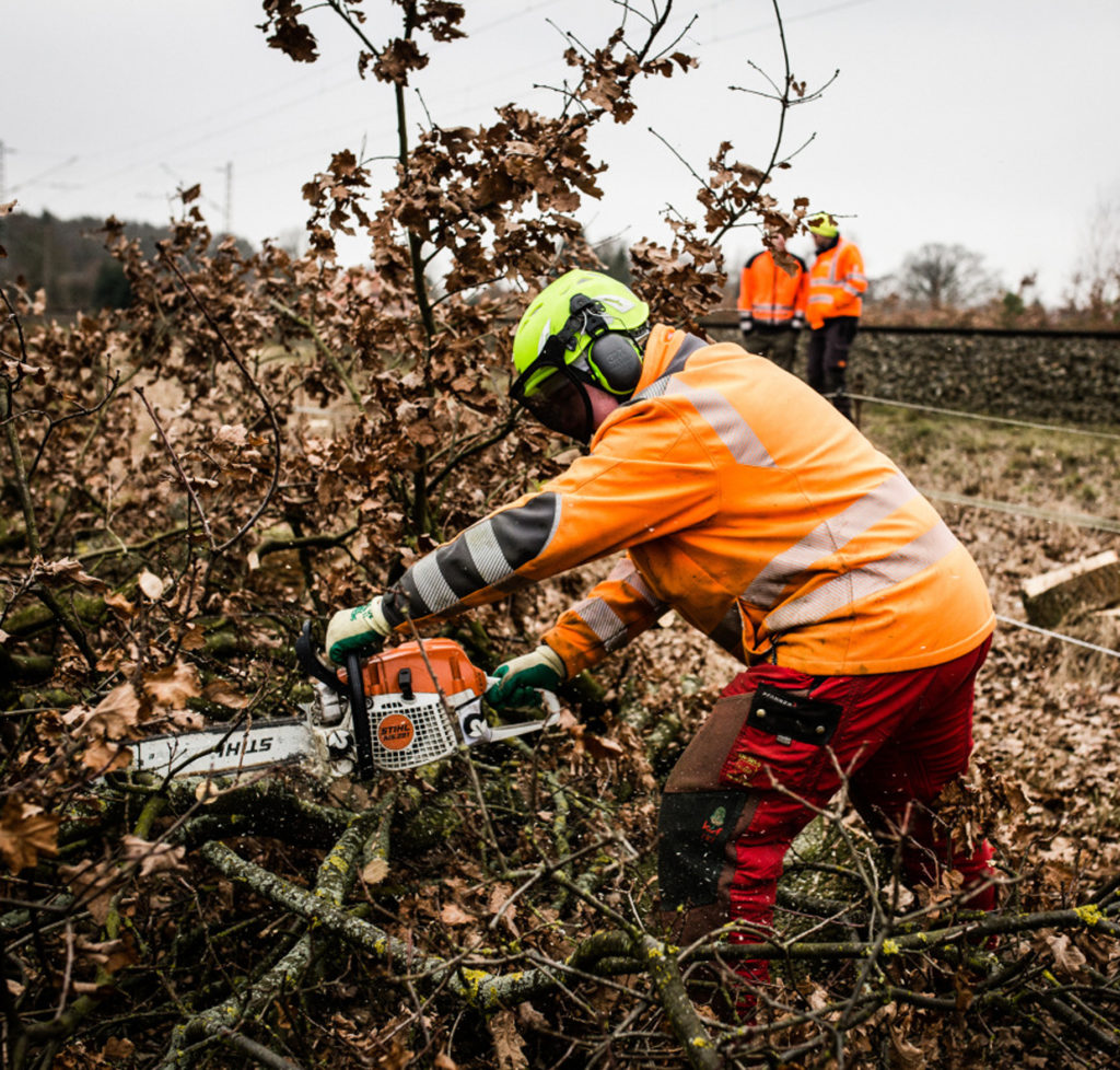 laubsaege_Arbeiten