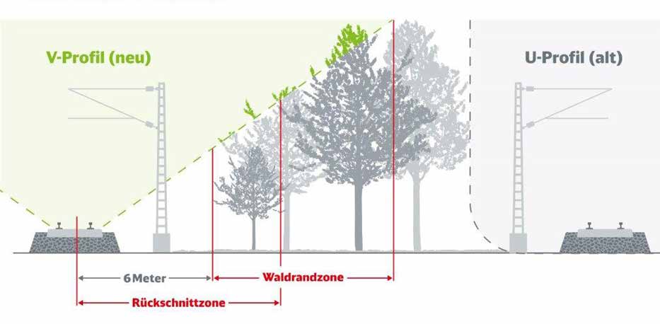 grafik_baumbeschnitt_bahngleise